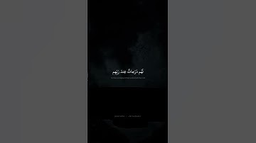 أُولئِكَ هُمُ المُؤمِنونَ حَقًّا | محمد صديق المنشاوي | سورة الأنفال