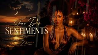J'ai Des Sentiments-Zéna(Kompa 2026)