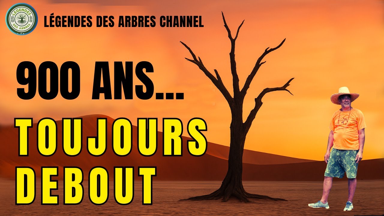 900 Ans Sans Eau… Et Toujours Debout ! 🌵