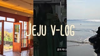 제주여행 VLOG | 3월 제주🍊,혼여행,게스트하우스,새로운 사람들,서쪽,뚜벅이