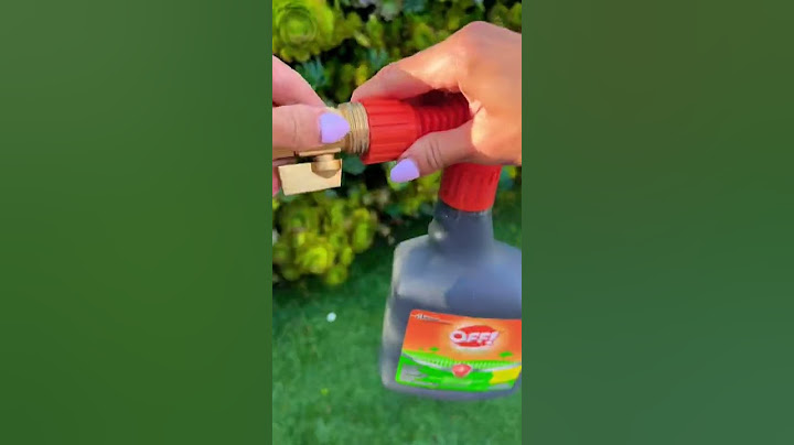 How to get rid of a backyard mosquito problem