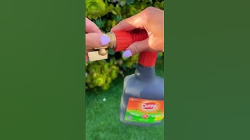 Thumbnail of How to get rid of a backyard mosquito problem