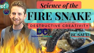 How to make a fire snake! The black snake experiment with sugar and baking soda!