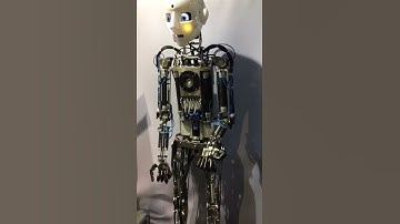 Robot At Imtex