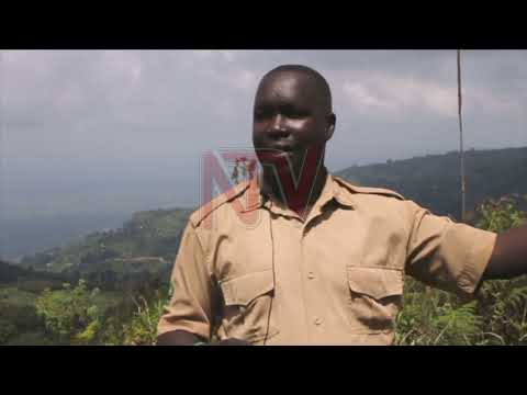 Video: Adakah gunung elgon gunung berapi yang aktif?