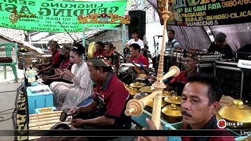 18 ular putih G  A  live Pamulihan    Brebes 7 Juli 2022