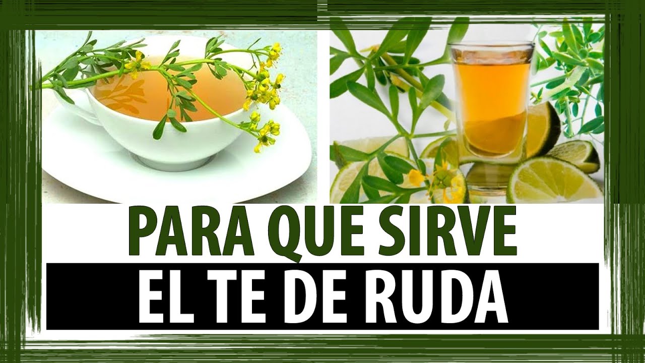 La receta del modo del adelgazamiento