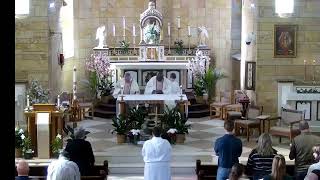 Sunday Mass   4/19/2026