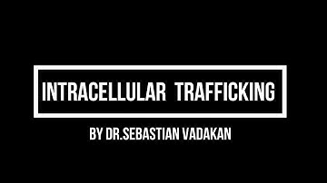 Intracellular Trafficking