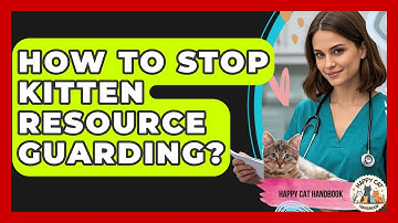 How To Stop Kitten Resource Guarding? - Happy Cat Handbook
