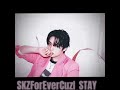 #SKZ Do It - Do Version edit #doit #it #YouMakeStrayKidsStay #kpop #boygroup #fyp #edit #music #sub
