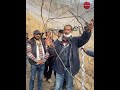 Winter Pruning Kiwi By Dr Chandel Winter Pruning Kiwi By Dr Chandel