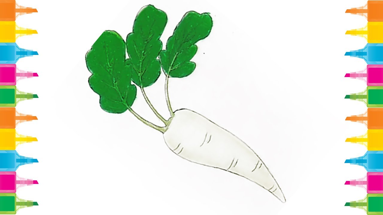 Featured image of post Radish Drawing For Kids You are certain to find the perfect drawing project no matter your skill level