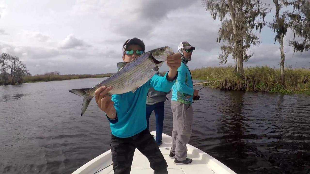 St. Johns River Fishing For Crappie And American Shad - YouTube