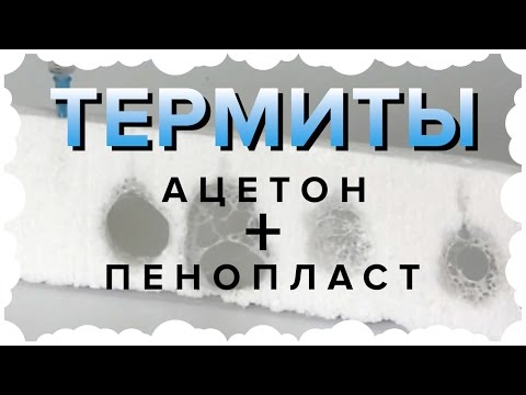 Видео: Как избавиться от термитов за гипсокартоном?