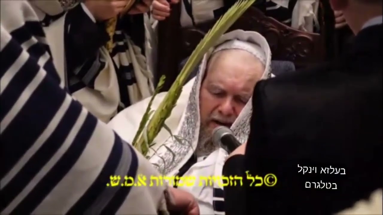 Belz Rebbe Leading The Davening - Hoshana Rabbah 5785