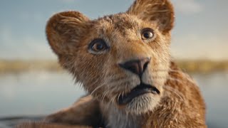 Drinker's Chasers  Mufasa Trailer Gets Absolutely Savaged