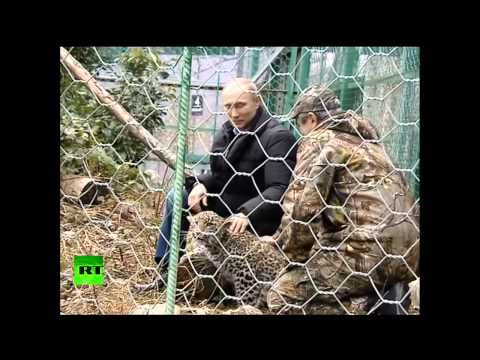 პუტინი კვდება? - რუსეთის პრეზიდენტს სიმსივნე გაურთულდა...