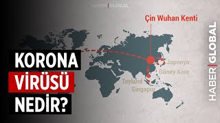 Corona (Korona) Virüsü Nedir? Belirtileri Nelerdir? Resimi