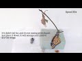 What if the pupa(Chrysalis) falls down or not hanging???