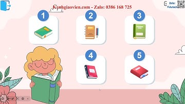 Trò chơi khởi động KHTN 6 Cánh diều bài 17: Đa dạng nguyên sinh vật | AI KHTN 6 Cánh diều