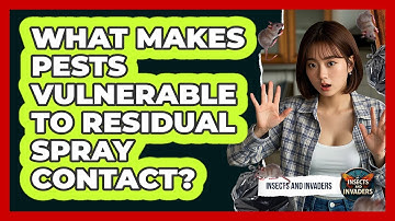 What Makes Pests Vulnerable To Residual Spray Contact? - Insects and Invaders