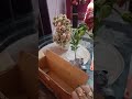 #youtubeshorts #unboxing #onlineshopping #plants #lemontree