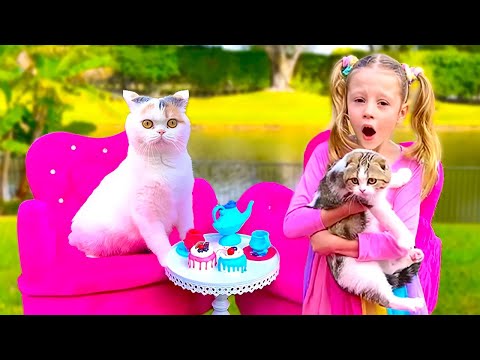 Video: Grumpy Cat: Lý Do Cho Sự Xuất Hiện Khác Thường Của Một Con Mèo Buồn Và Lịch Sử Phổ Biến Của 