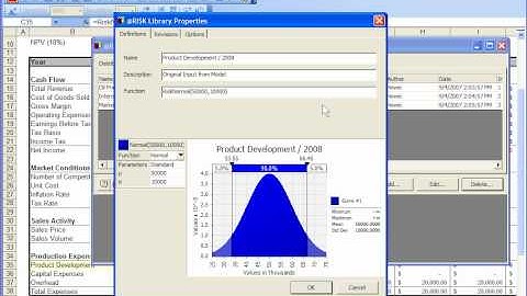 How to Use the @RISK Library