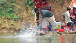A Lot of Catla Fish Catching in Village Ticket Fishing Competition