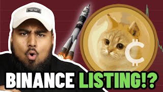 CAT COIN BINANCE LISTING CONFIRMED?! (BUY NOW) CATCOIN PRICE PREDICTION!!