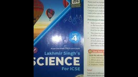 Chapter 5  Plants in the surroundings and environment