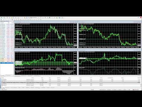 Expert Forex Gold Trading! Starting with 50k Real account!!!