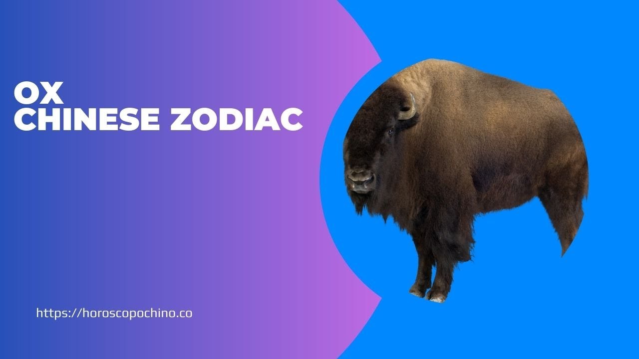 Ox Chinese Zodiac Personality Traits Element Compatibility YouTube ox-chinese-zodiac-personality-traits-element-compatibility-youtube