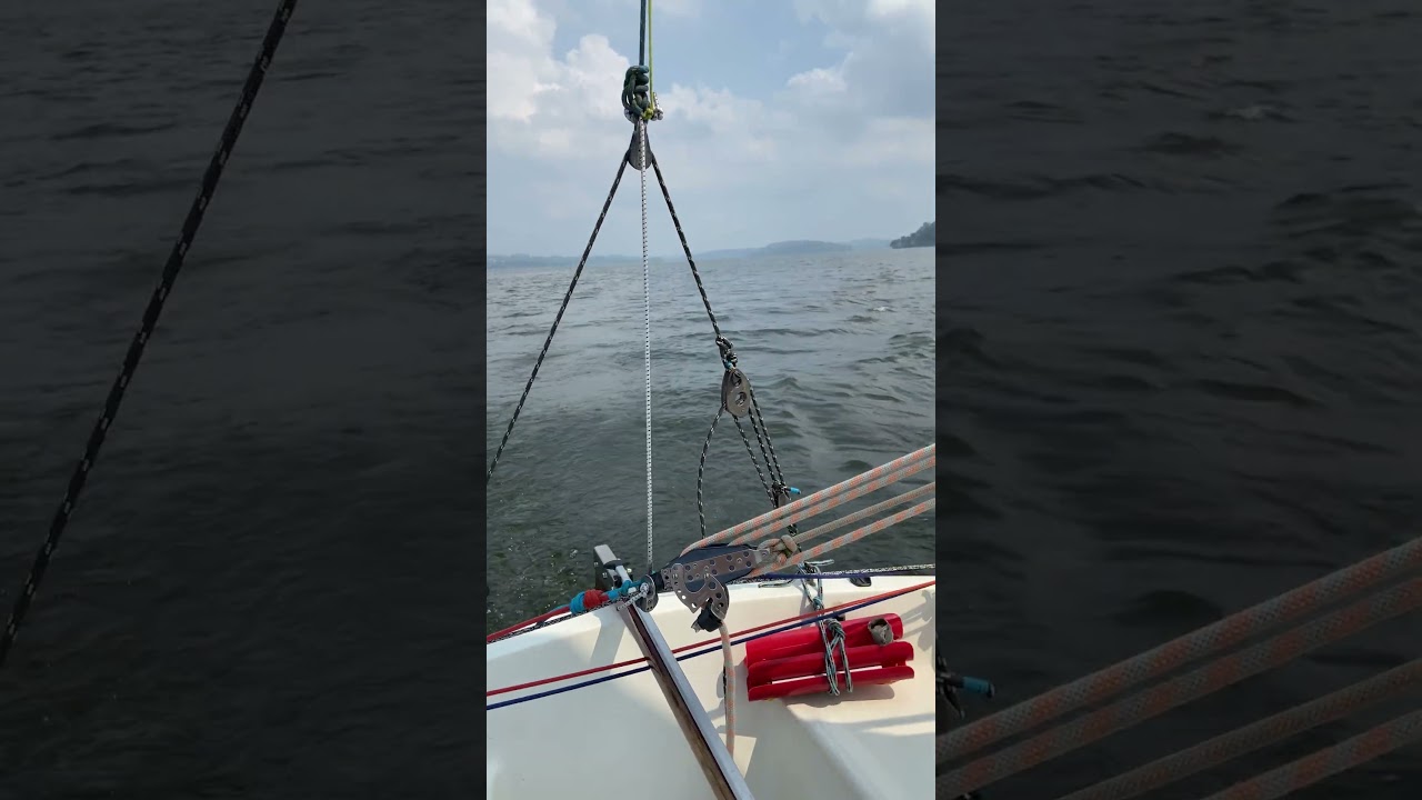 Wednesday’s Downwind