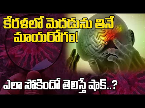 Brain Eating Amoeba kerala : విధ్వసం..మెదడును తినేస్తున్న వైరస్ | Telugu ISM
