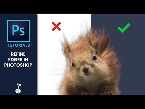 Refine Edges In Photoshop