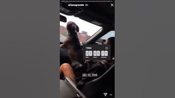 7 Rings Snippet (NEW)