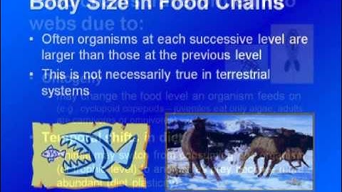 Limnology - Food Webs & Microbial Loop