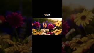 Beautiful Garden with Butterfly 🦋 | Relaxing Nature Sounds | Birds Chirping | Nature Serenity