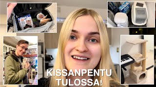 Kuinka Valmistauduin Kissanpennun Tuloon? Ensimmäinen Vlogi