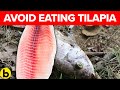 Why Health Experts Say To Avoid Eating Tilapia & Salmon