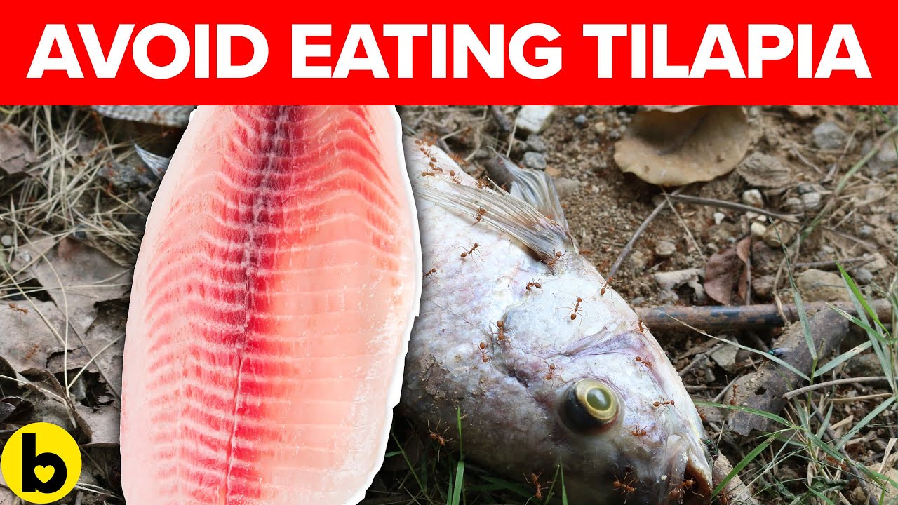 Why do health experts say to avoid tilapia?