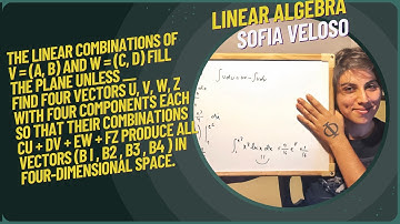 1.1.30 The linear combinations of v = (a, b) and w = (c, d) fill the plane unless __.