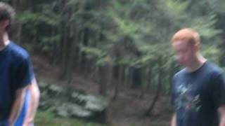 The Falls 2