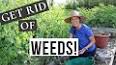 Weeding Your Garden: A Labor of Love ile ilgili video