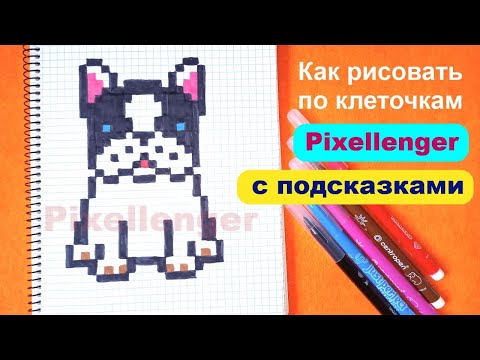 Как рисовать по клеточкам Собаку Щенка Бульдога 🐾 Простые рисунки How to Draw Dog Puppy Pixel Art