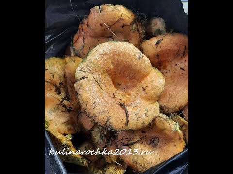 САМЫЙ ВКУСНЫЙ РЕЦЕПТ СОЛЕНЫХ РЫЖИКОВ ХОЛОДНЫМ СПОСОБОМ