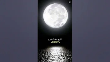 القرآن الكريم الشيخ ياسر الدوسري 