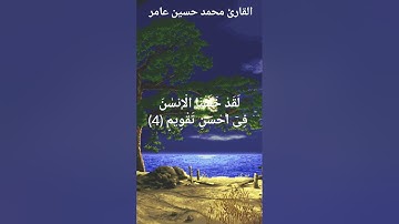 القارئ محمدحسين عامر | مقطع من سورة التين